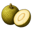 Brotfrucht