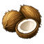 Kokosnüsse
